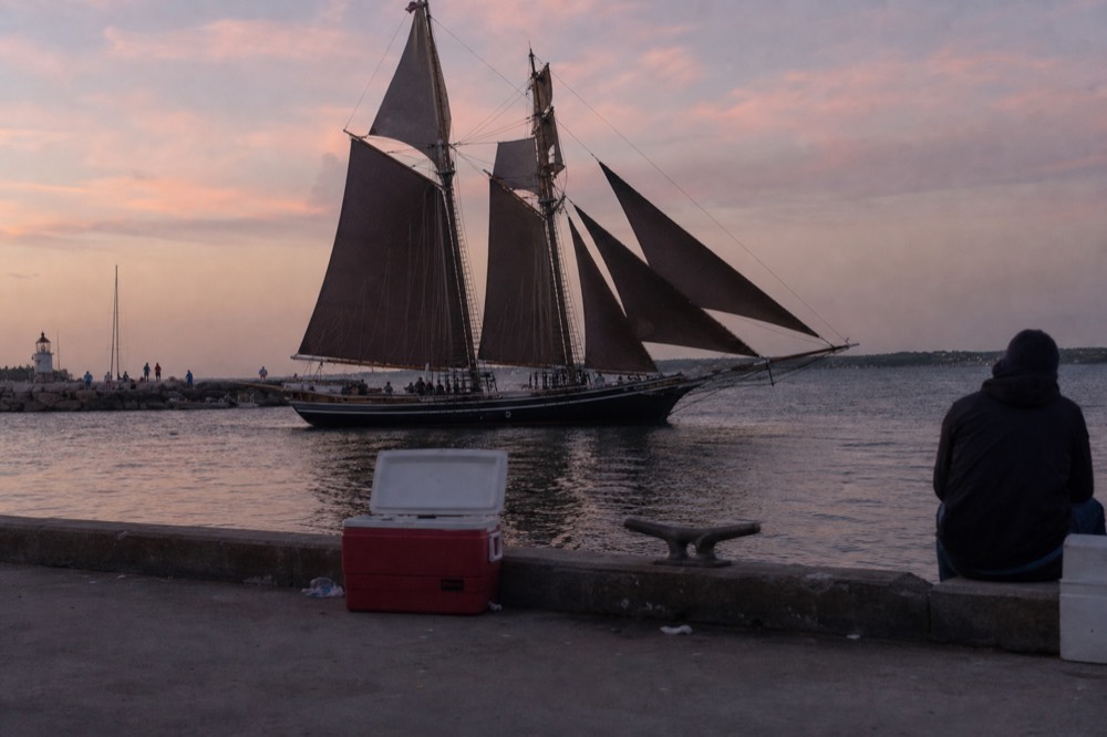 Tall ship with dark sails crossing the harbor at dusk in Key West, no text, no logos, no people